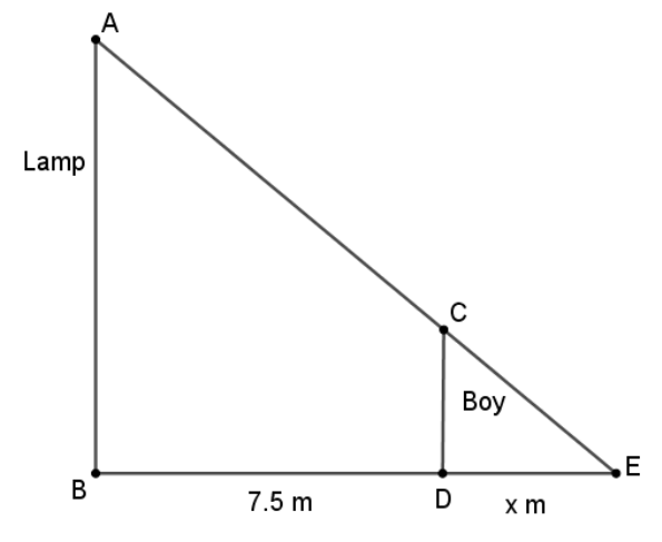 figure for this question